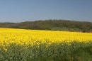 D34 au sud-ouest de Velles